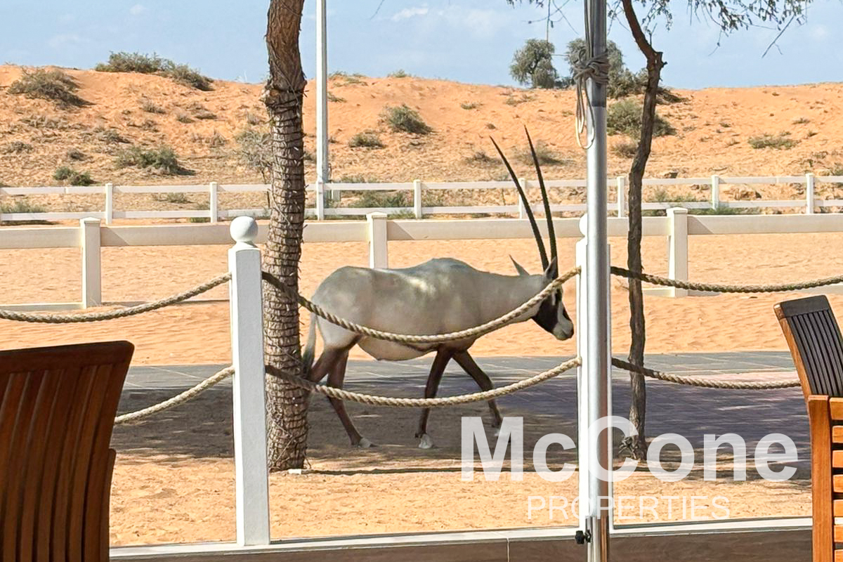 4 Bedroom Villa for Sale in The Ritz-Carlton Residences, Al Wadi Desert — photograph 17 of 27