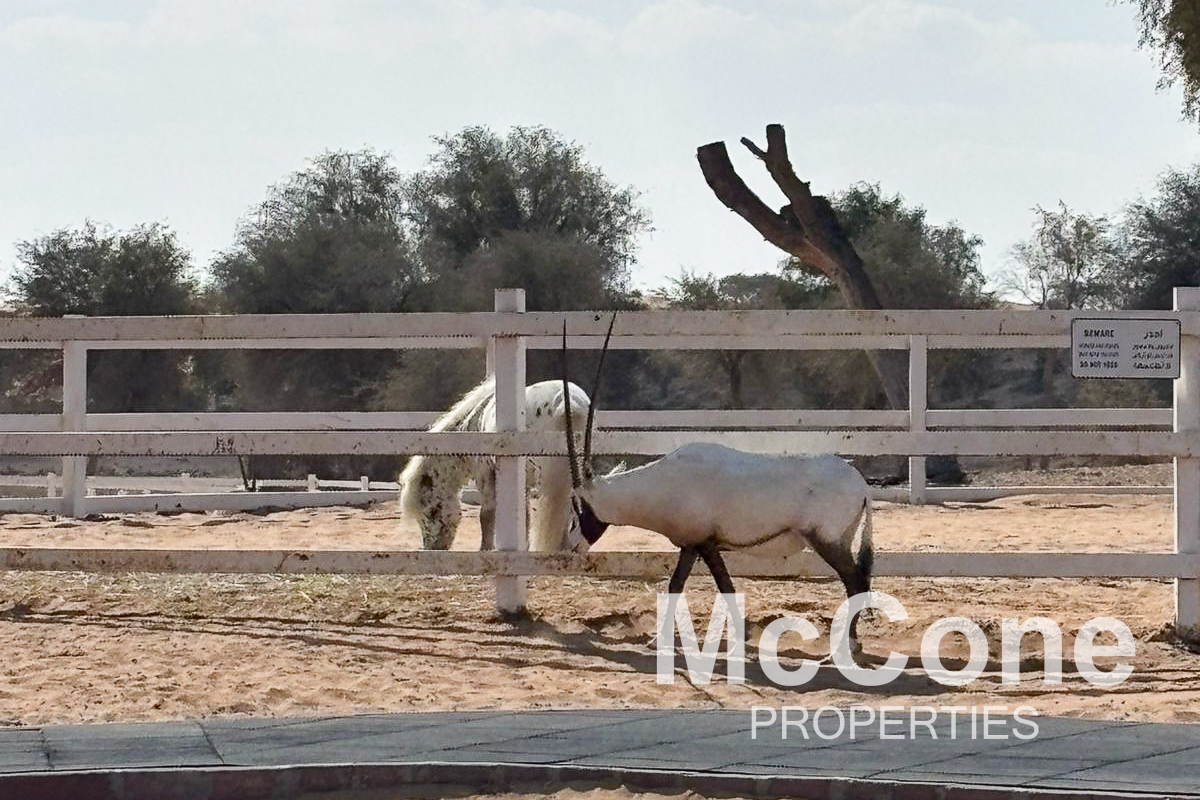 4 Bedroom Villa for Sale in The Ritz-Carlton Residences, Al Wadi Desert — photograph 16 of 27