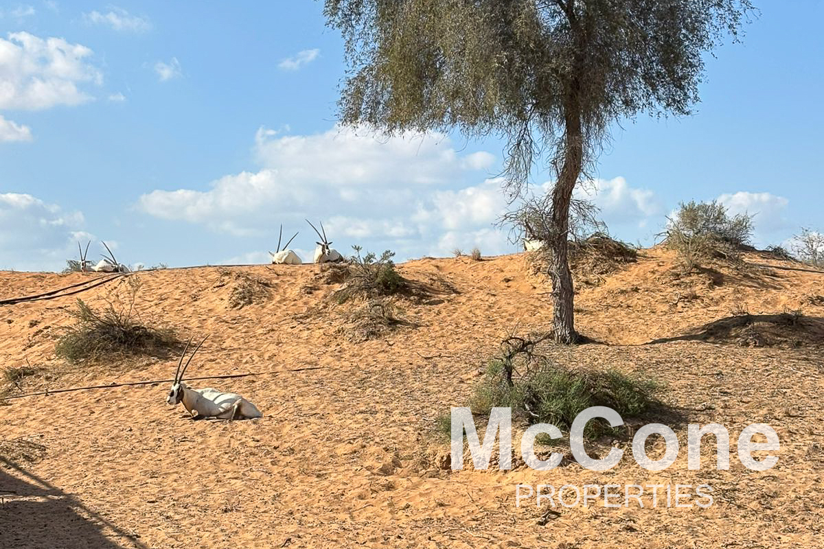 4 Bedroom Villa for Sale in The Ritz-Carlton Residences, Al Wadi Desert — photograph 18 of 27