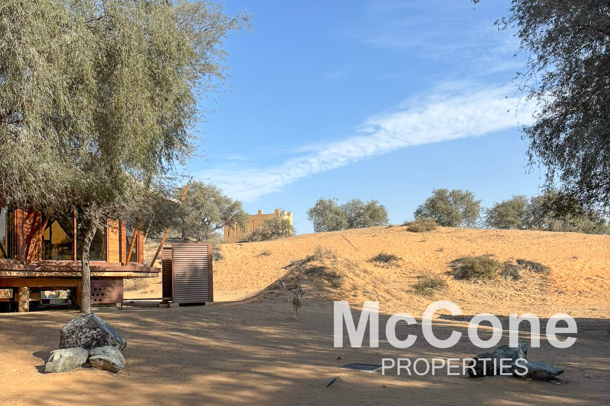 4 Bedroom Villa for Sale in The Ritz-Carlton Residences, Al Wadi Desert — photograph 19 of 27