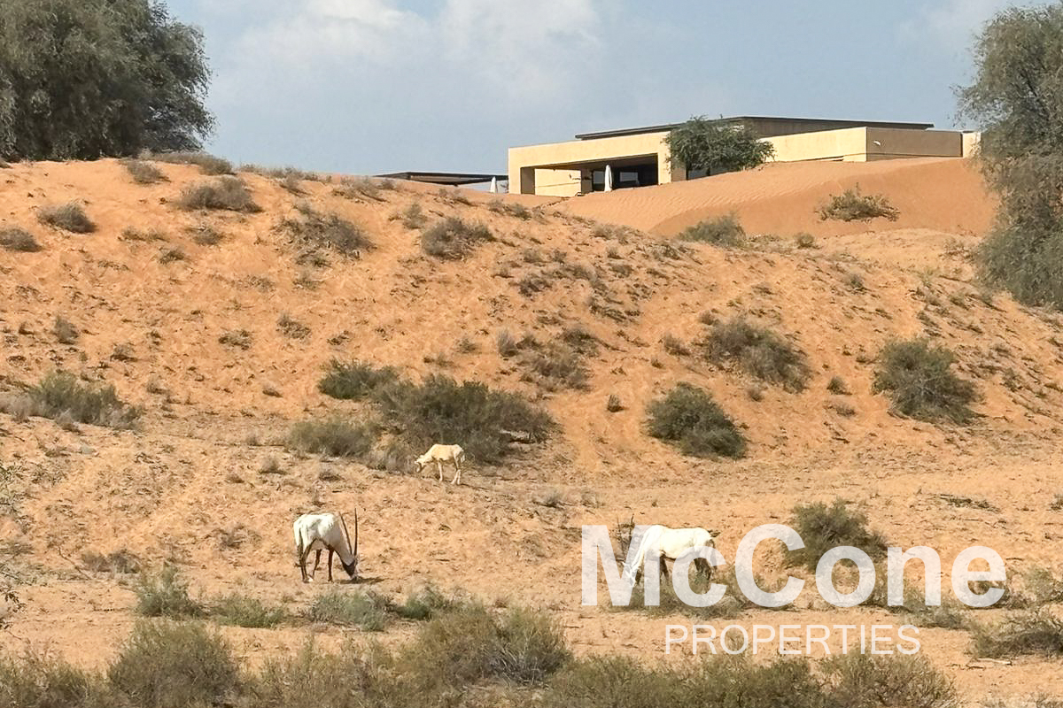 4 Bedroom Villa for Sale in The Ritz-Carlton Residences, Al Wadi Desert — photograph 22 of 27