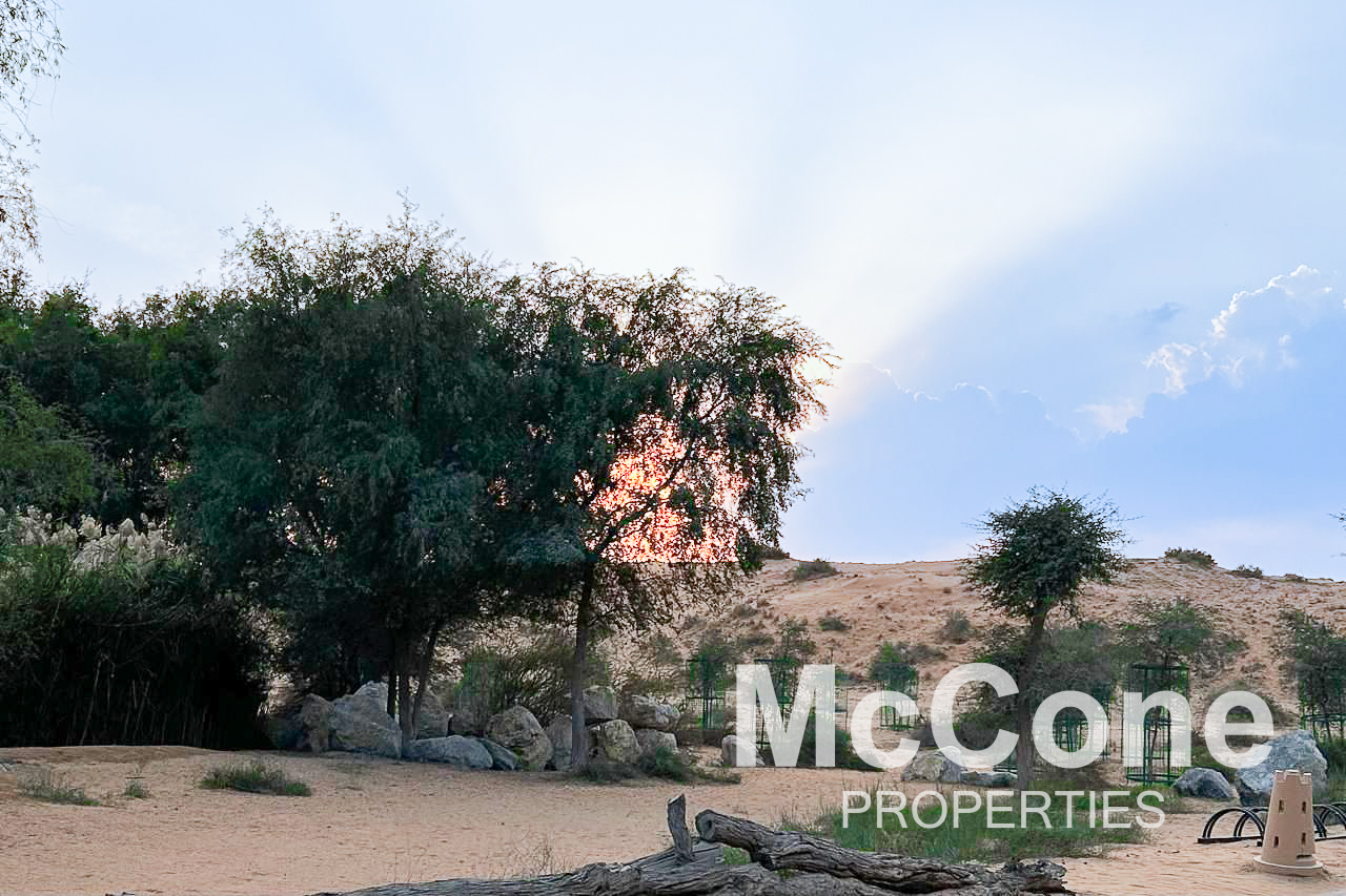 4 Bedroom Villa for Sale in The Ritz-Carlton Residences, Al Wadi Desert — photograph 23 of 27
