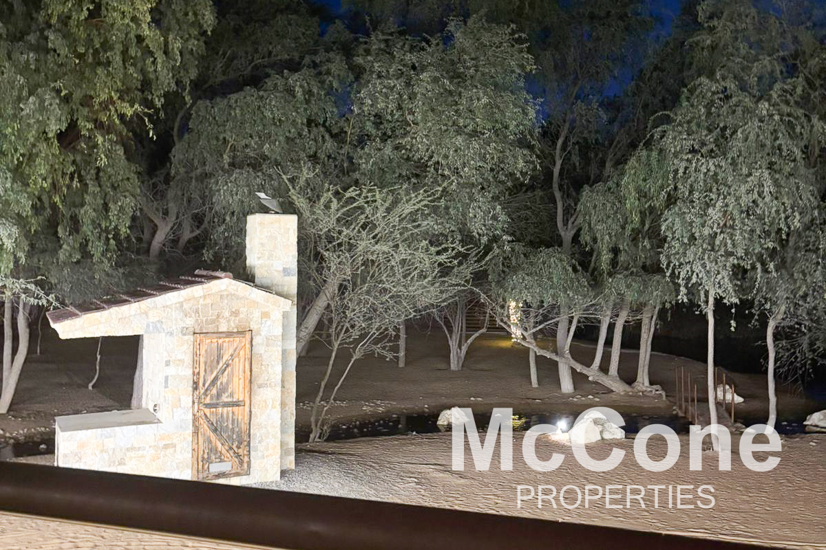 4 Bedroom Villa for Sale in The Ritz-Carlton Residences, Al Wadi Desert — photograph 27 of 27