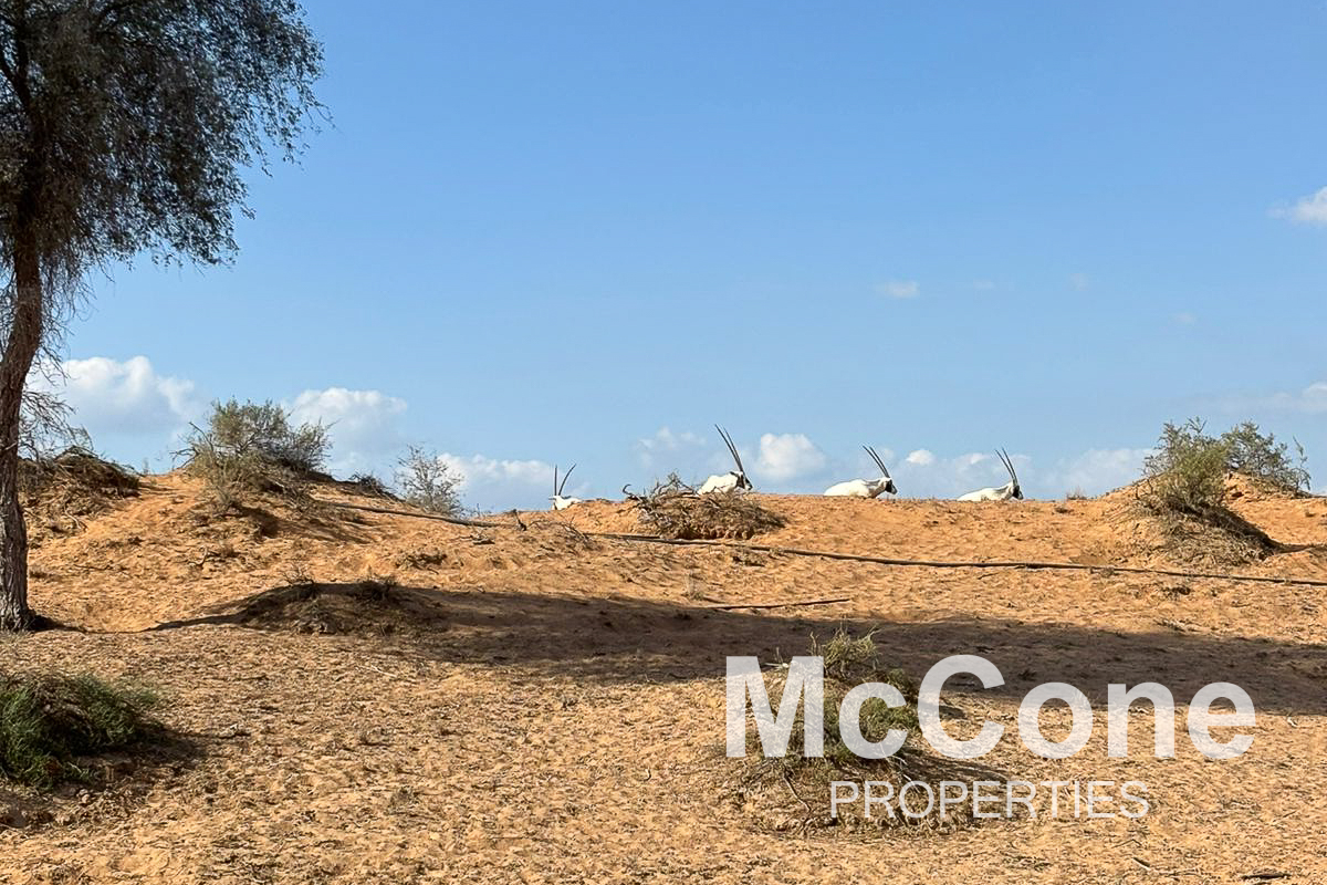 3 Bedroom Villa for Sale in The Ritz-Carlton Residences, Al Wadi Desert — photograph 19 of 25