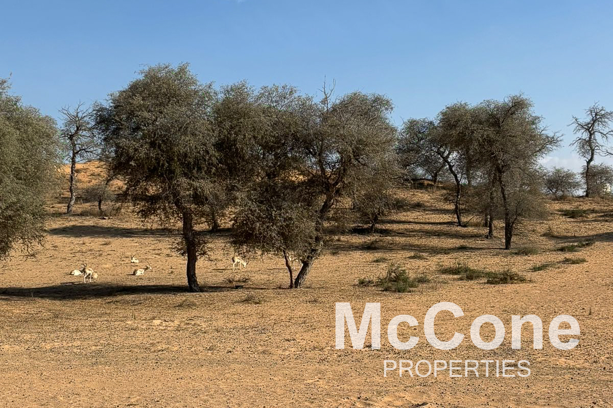 3 Bedroom Villa for Sale in The Ritz-Carlton Residences, Al Wadi Desert — photograph 22 of 25
