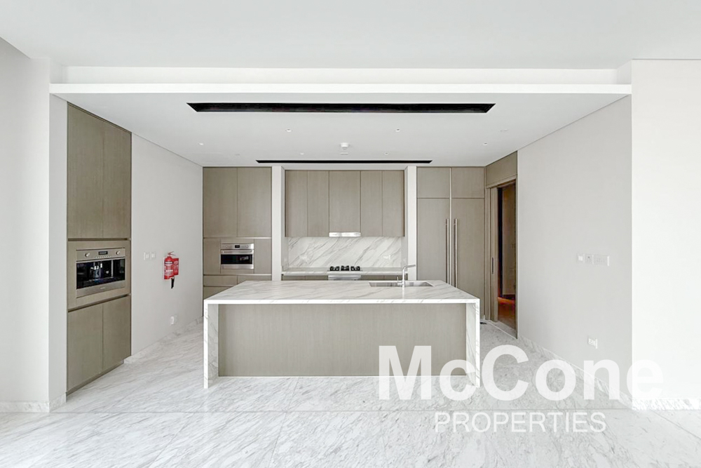 4 Bedroom Apartment for Rent in IL Primo, Downtown Dubai — photo 3 of 18