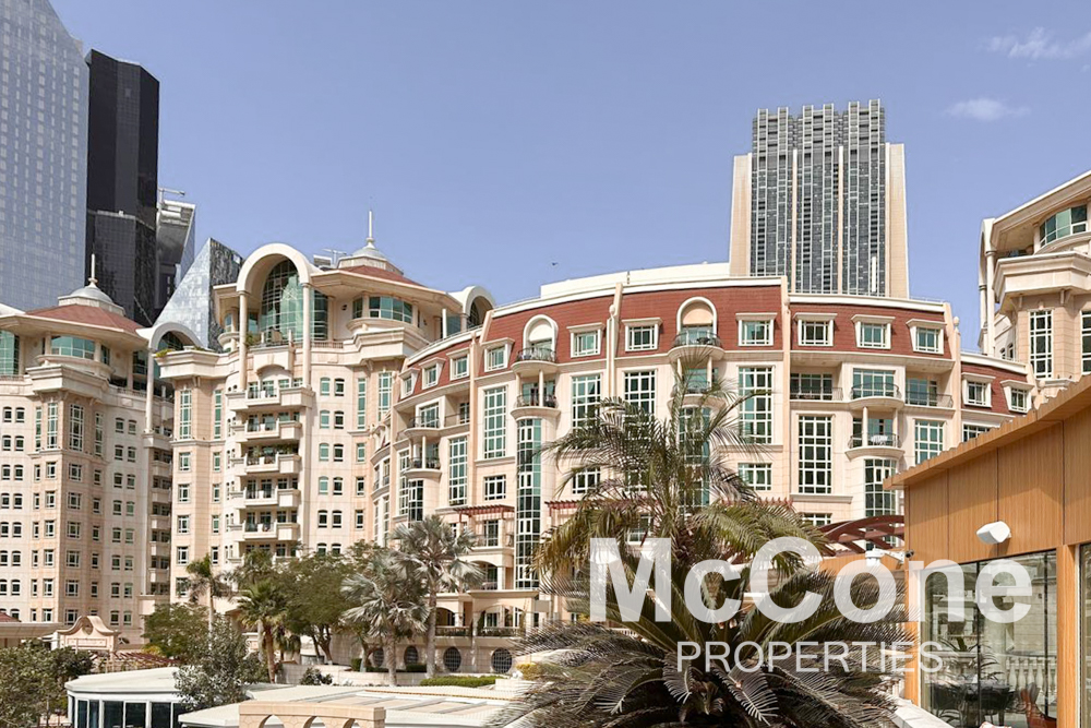 Studio Apartment for Rent in Roda Al Murooj, Downtown Dubai — photograph 11 of 15