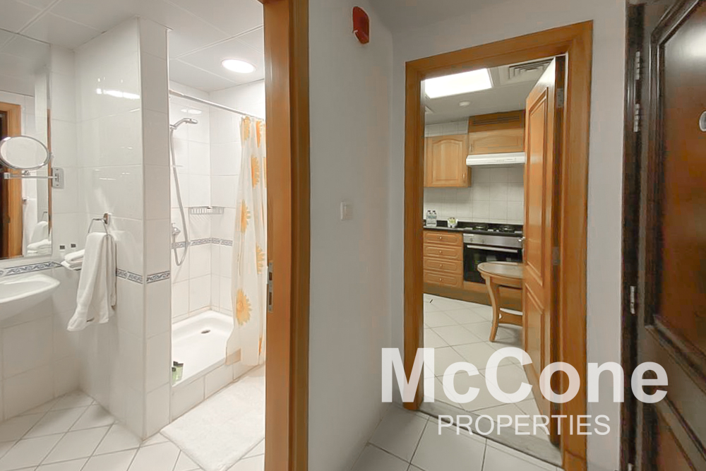 Studio Apartment for Rent in Roda Al Murooj, Downtown Dubai — photo 4 of 15