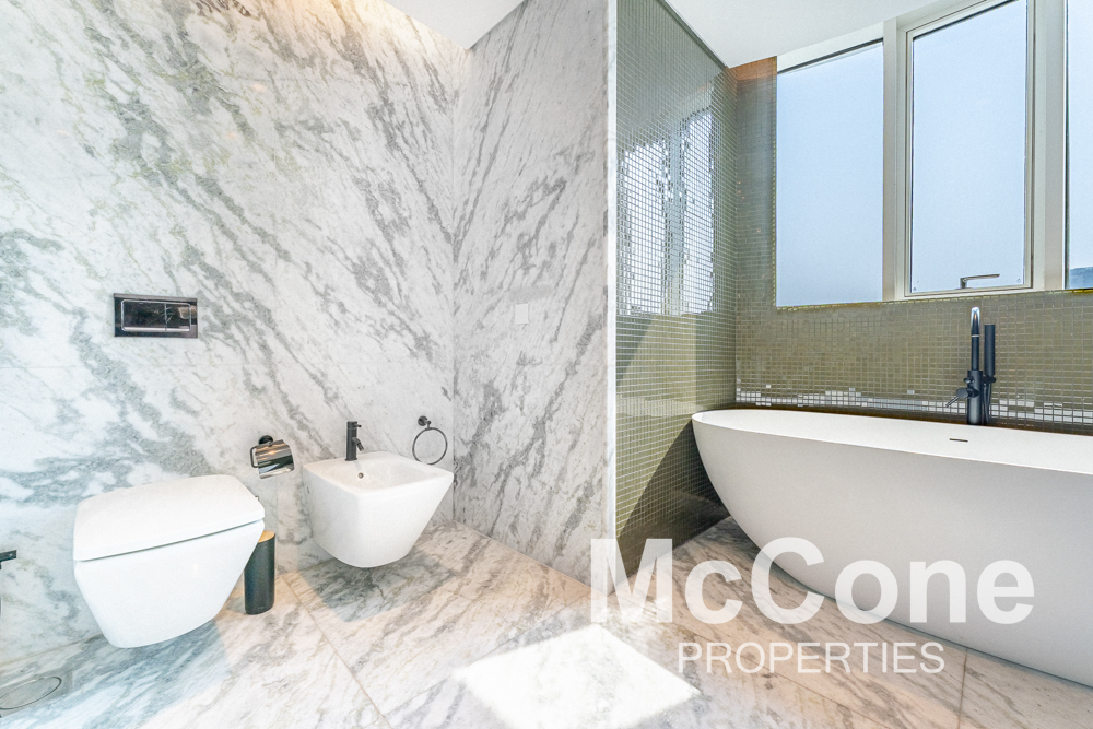 4 Bedroom Apartment for Rent in SAAS Tower, Business Bay — photograph 20 of 29