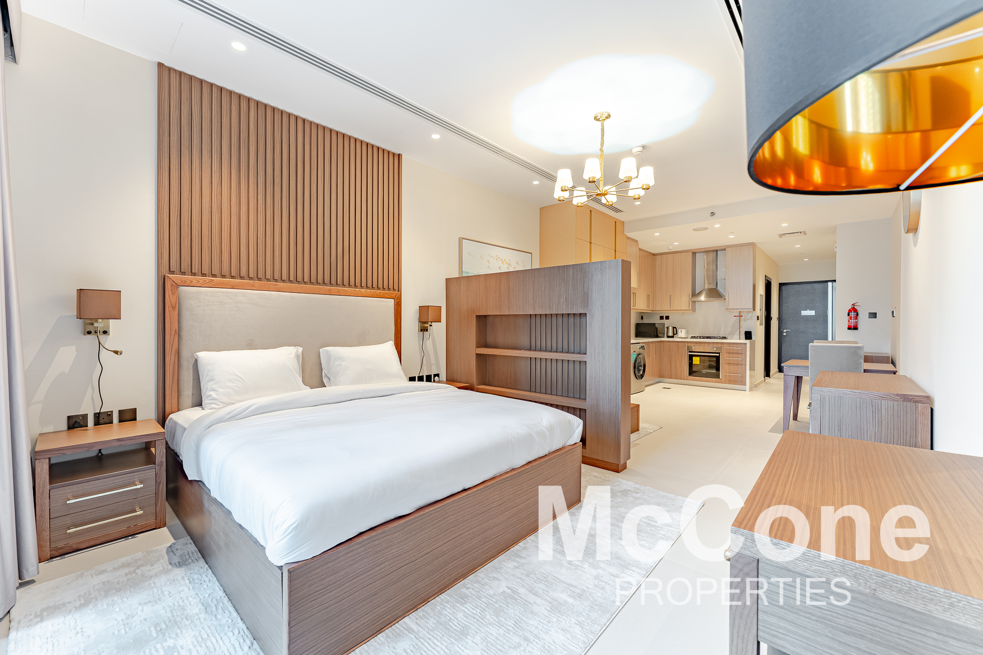 Studio Apartment for Rent in Elite Downtown Residence 2, Downtown Dubai