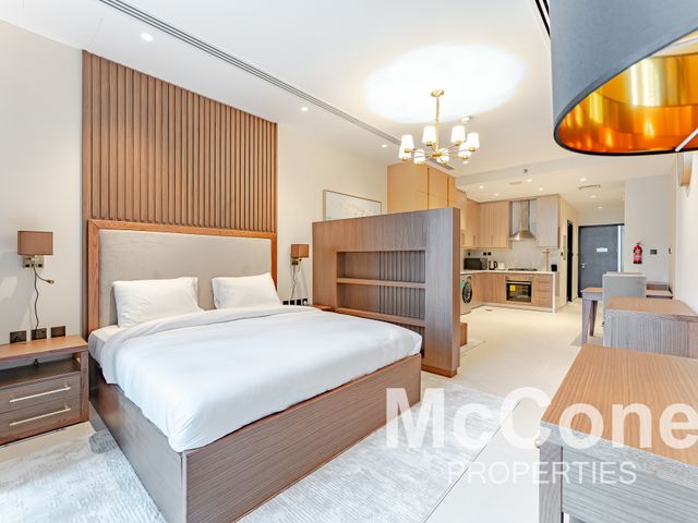 Studio Apartment for Rent in Elite Downtown Residence 2, Downtown Dubai
