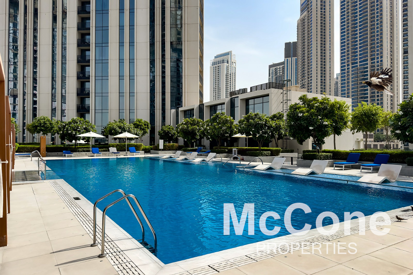 1 Bedroom Apartment for Rent in Harbour Gate Tower 1, Dubai Creek Harbour (The Lagoons) — photograph 29 of 30