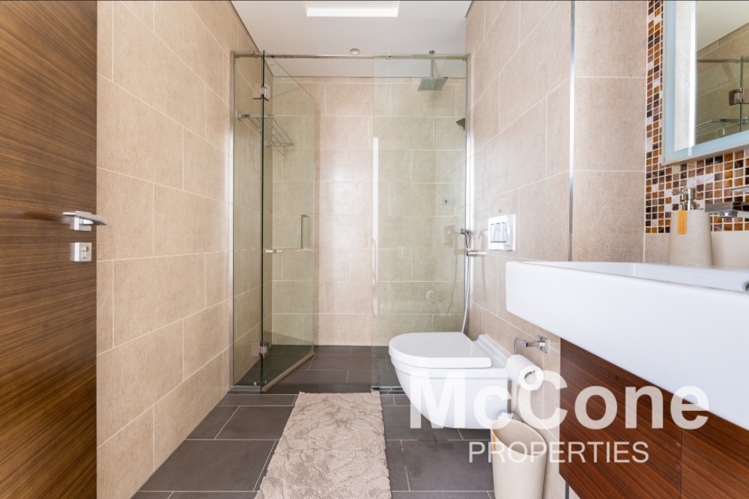 Studio Apartment for Rent in Sobha Hartland Greens 2, Mohammed Bin Rashid City — photograph 13 of 15