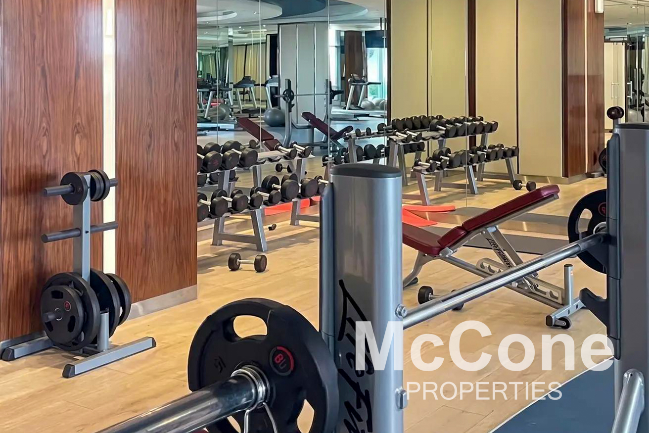 Studio Apartment for Rent in Celestia A, Dubai South (Dubai World Central) — photograph 10 of 11