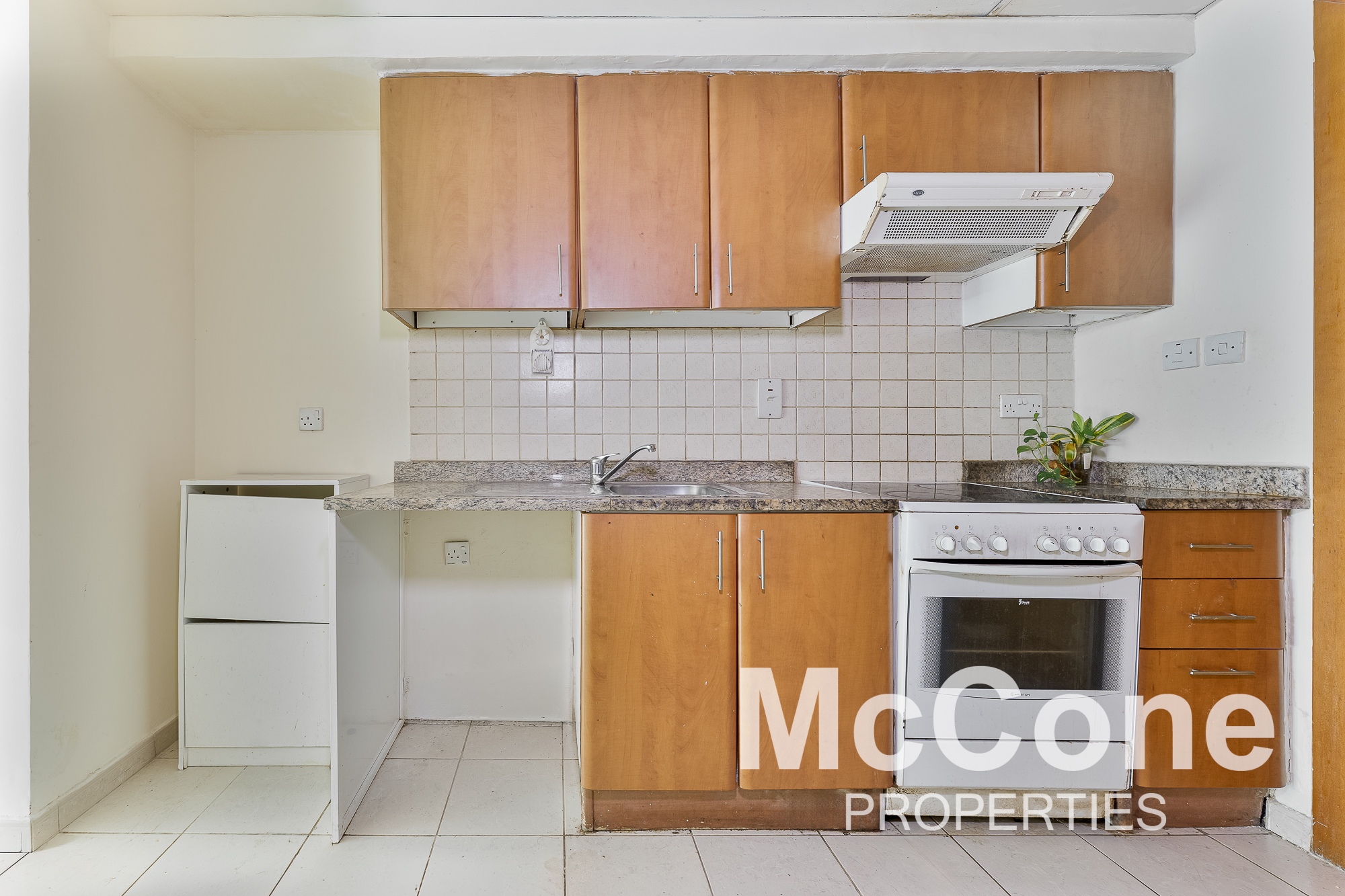 Studio Apartment for Sale in Al Dhafra 4, Greens — photo 3 of 10