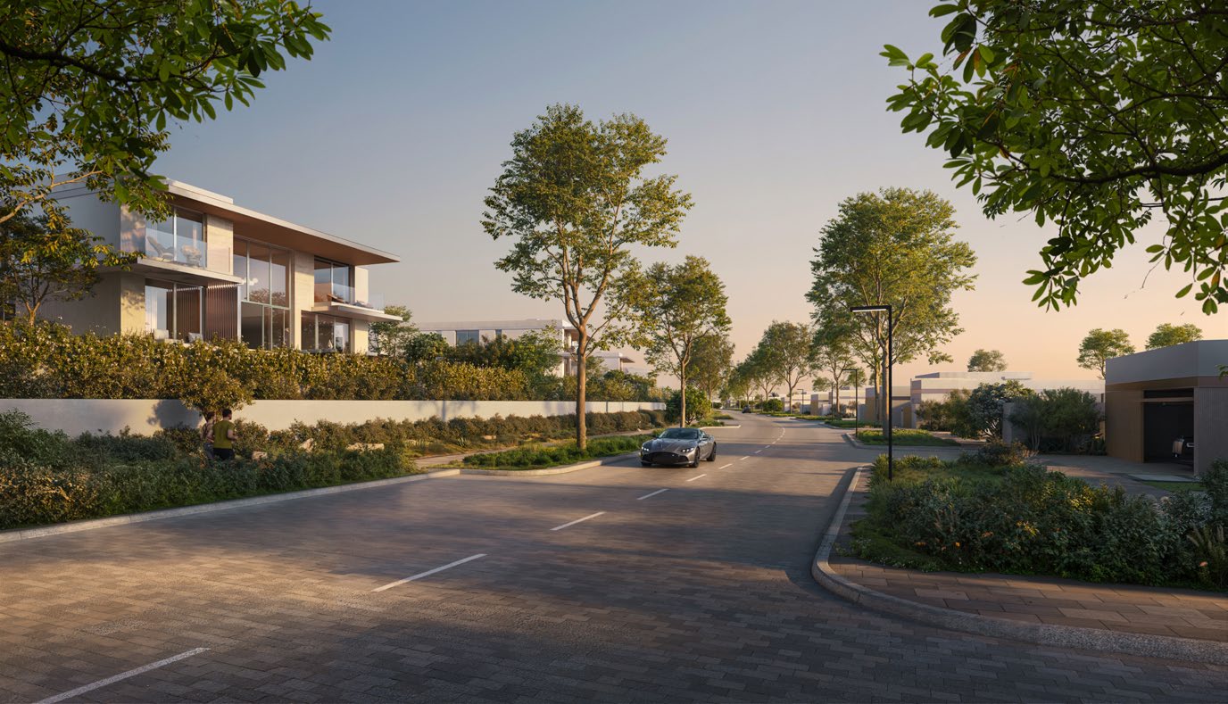Tree-lined street between villas at sunset